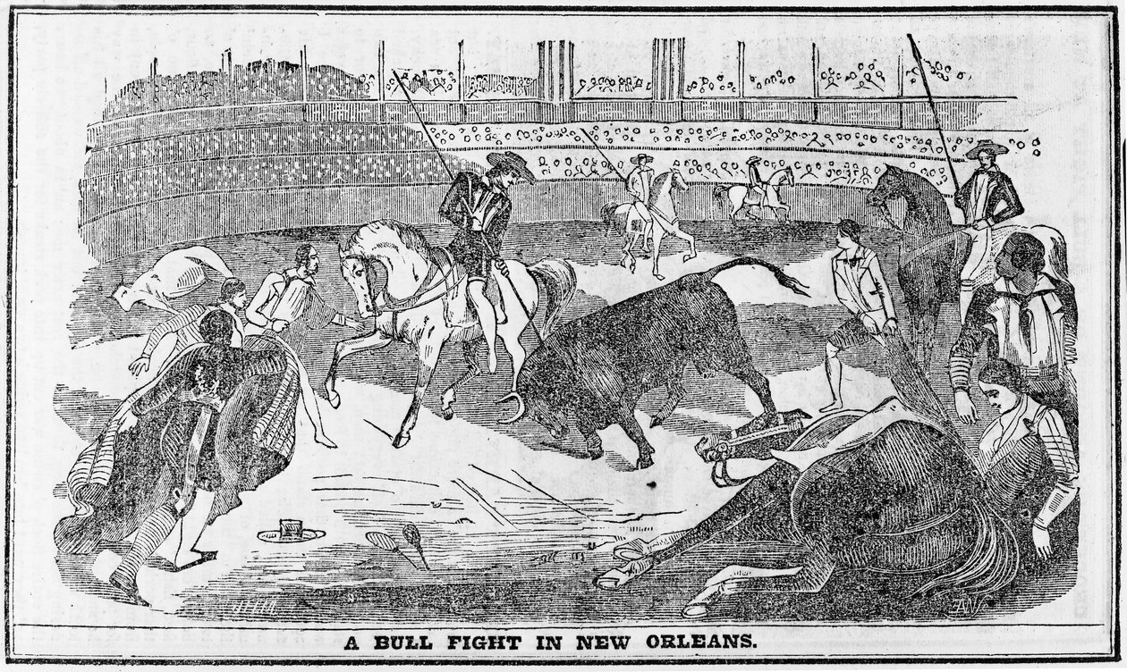 Luta de touros em Nova Orleans, de Davy Crocketts Almanack, Boston, 1849 de American School