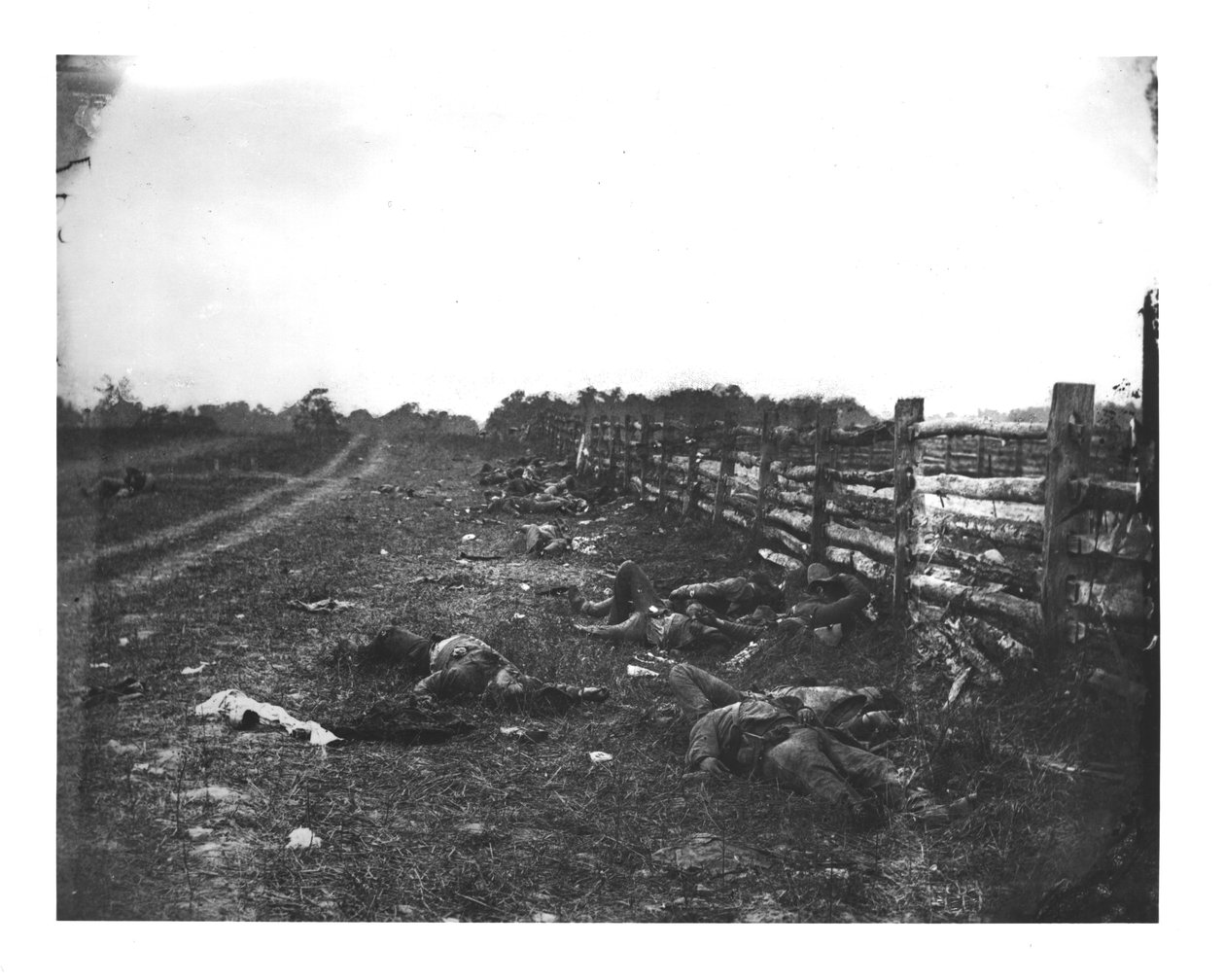 Confederado Morto ao longo do lado oeste de Hagerstown Pike, Batalha de Antietam, 19 de setembro de 1862 de American School