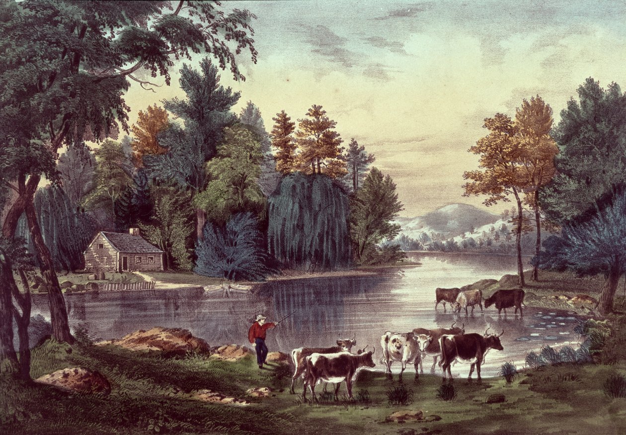 Vacas na margem de um lago, publicado por Nathaniel Currier (1813-1888) e James Merritt Ives (1823-1895) (cor lito) de American School