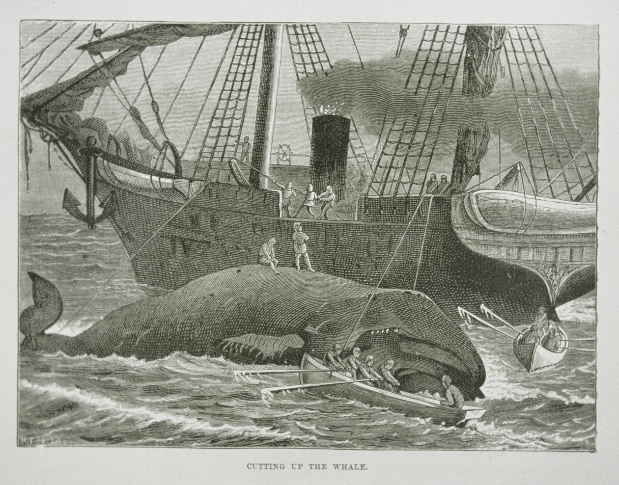 Cutting up the Whale, de The American Whale Fishery, c.1850 (gravura) de American School