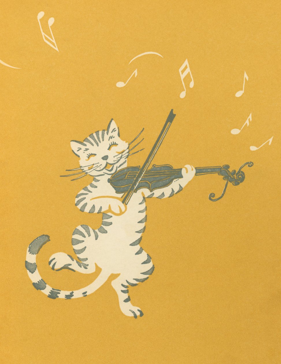 Gato dançarino a tocar violino de American School