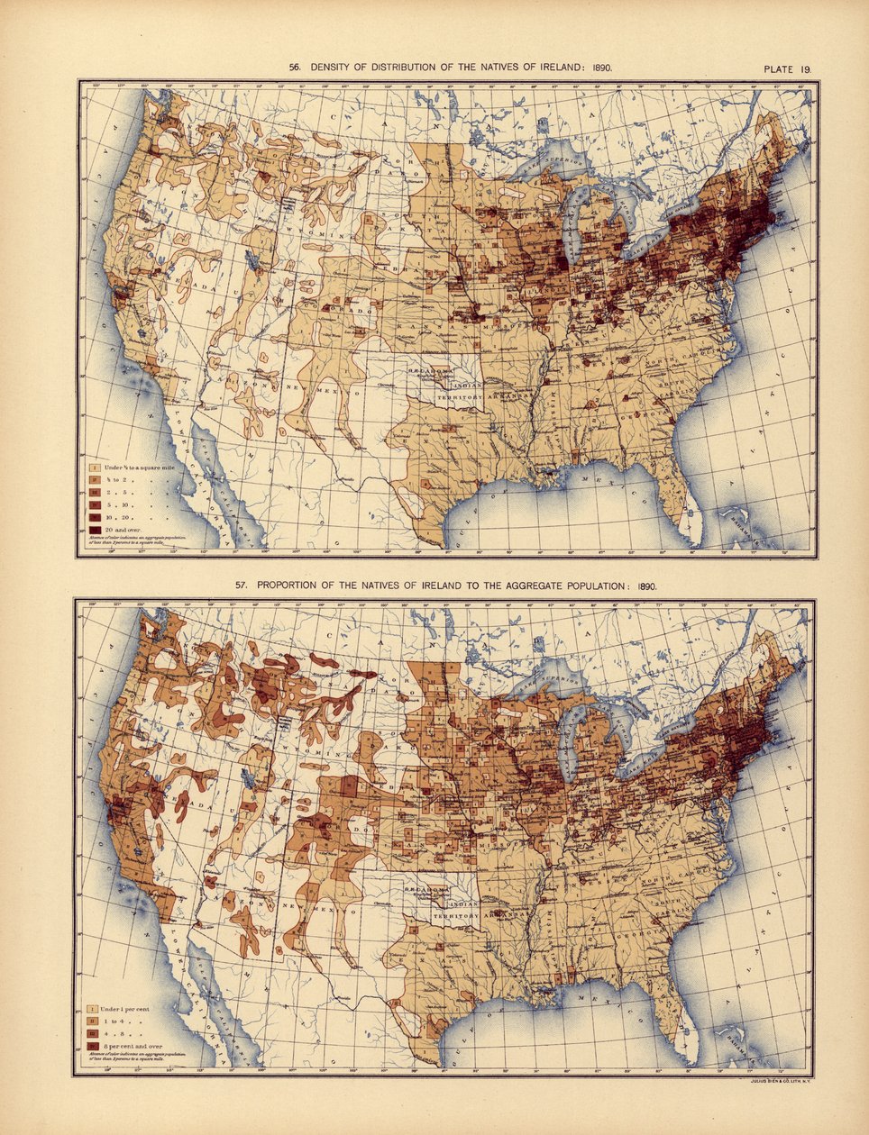 Densidade de distribuição dos nativos da Irlanda e sua proporção em relação à população agregada, 1898 de American School