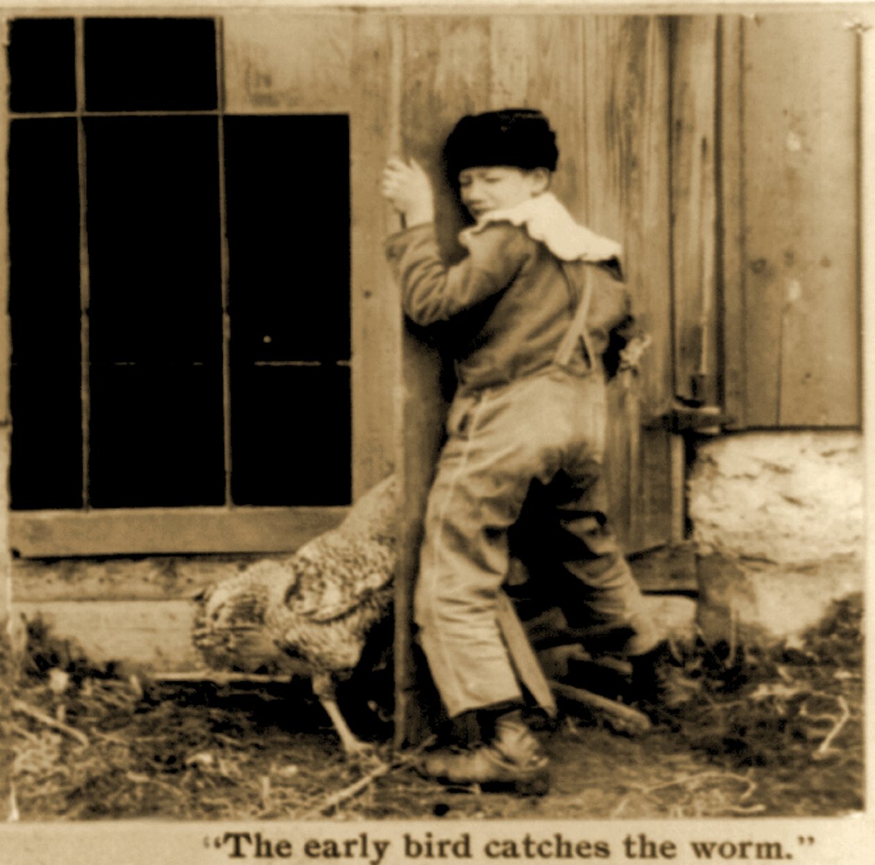 Pormenor do cartão estereoscópico "The early bird catches the worm", c.1900 (fotografia a preto e branco) de American School