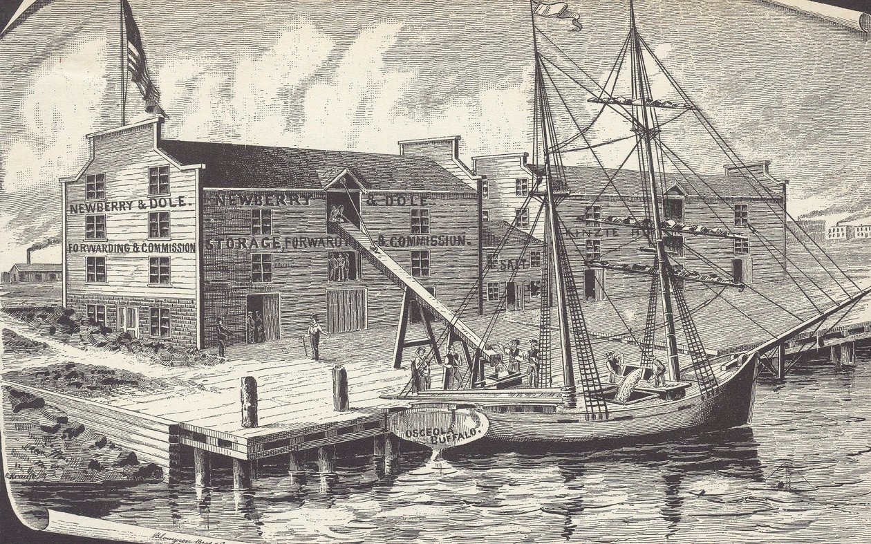 Primeiro carregamento de trigo do armazém de Chicago, Newberry & Dole de American School