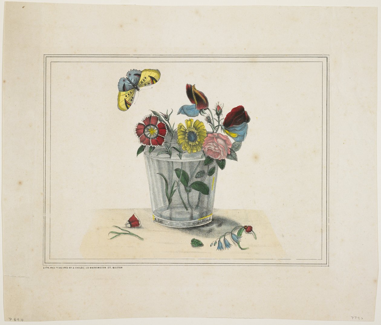 Flores em um copo, com borboleta (litho colorido à mão) de American School