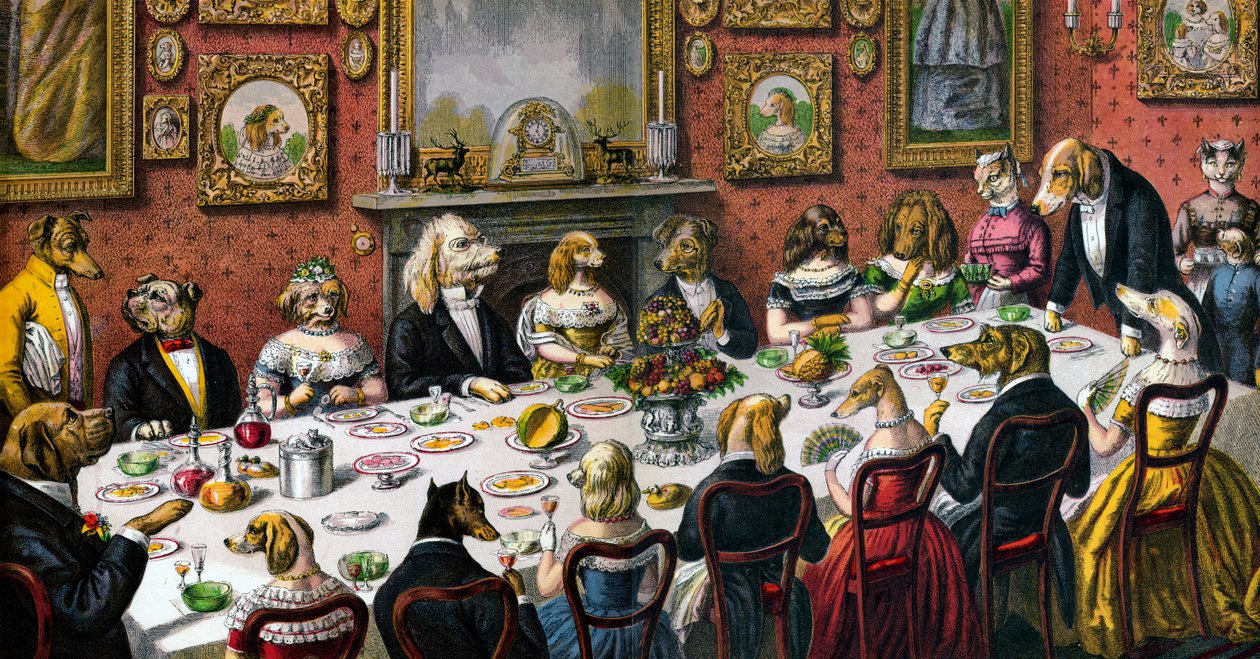 Jantar formal para cães de American School