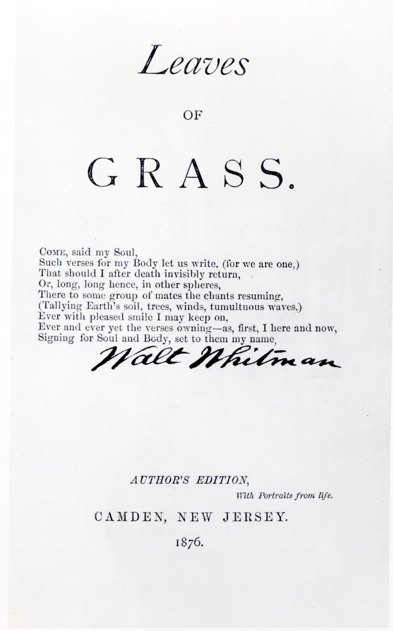 Frontispício para folhas de grama por Walt Whitman (1819-92), pub. em 1876 de American School