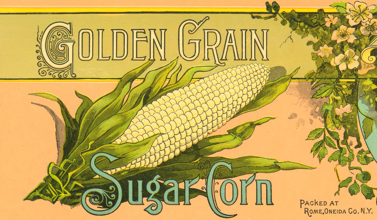 Rótulo do produto "Golden Grain Sugar Corn", c.1890 (litografia a cores) de American School