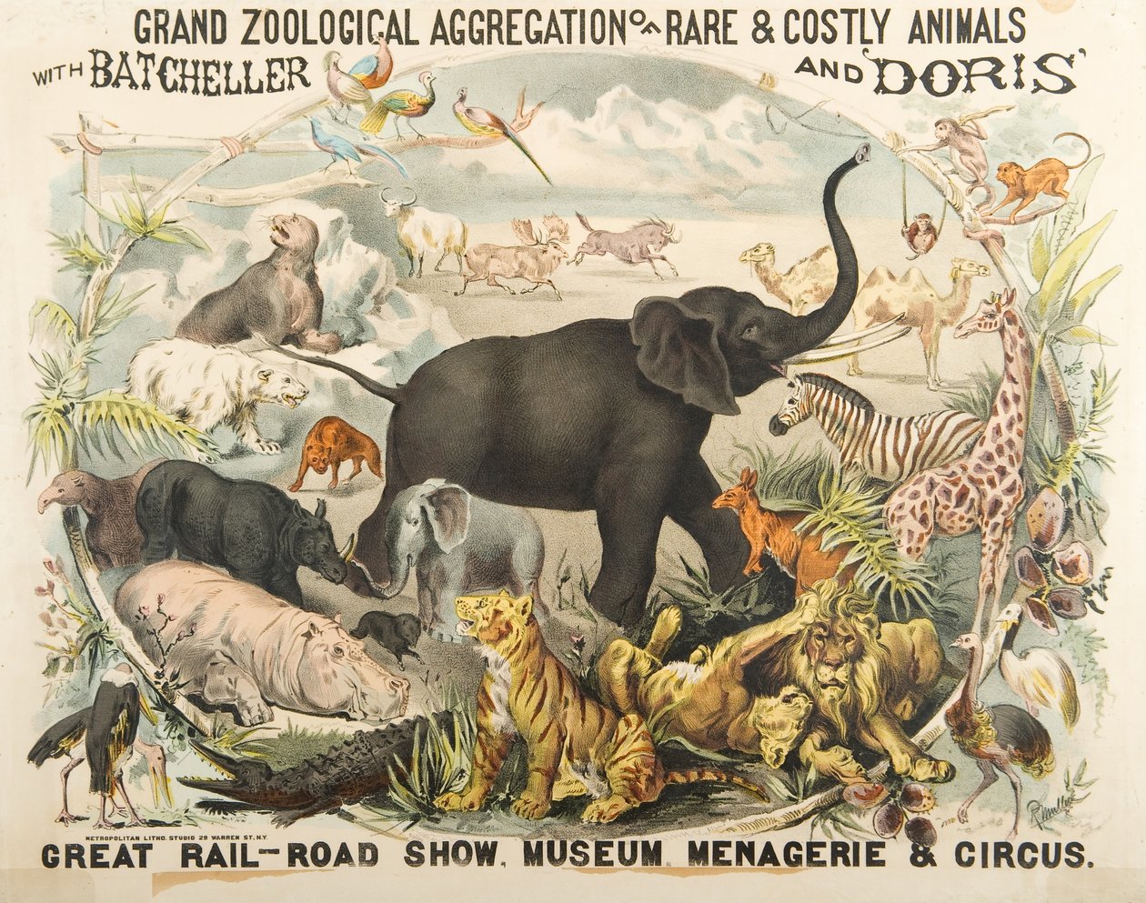Agregação Zoológica Grande de Animais Raros e Costosos com Batcheller e Doris (chromolitho) de American School