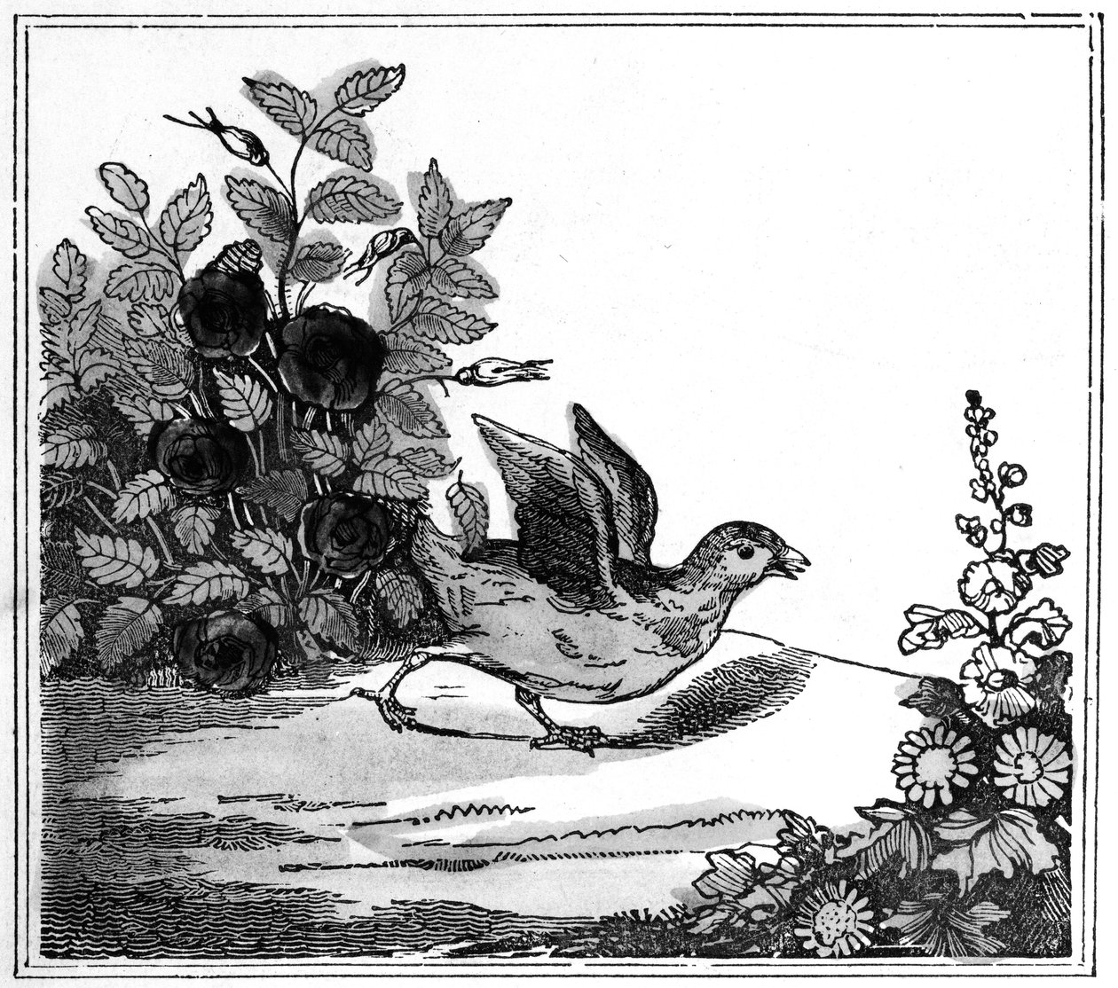 Ilustração da notável história de Chicken Little, 1840 de American School