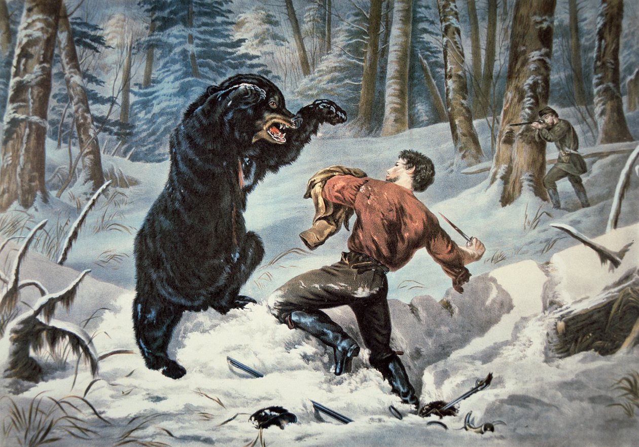 Jedediah Smith (1799-1831) sendo atacado por um urso pardo, c.1861 (cor litho) de American School