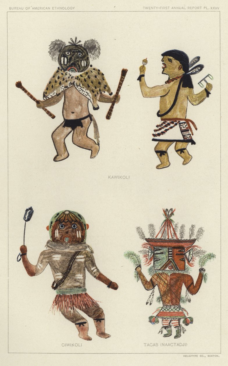 Kawikoli, Ciwikoli, Tacab (Naactadji) (litografia a cores) de American School