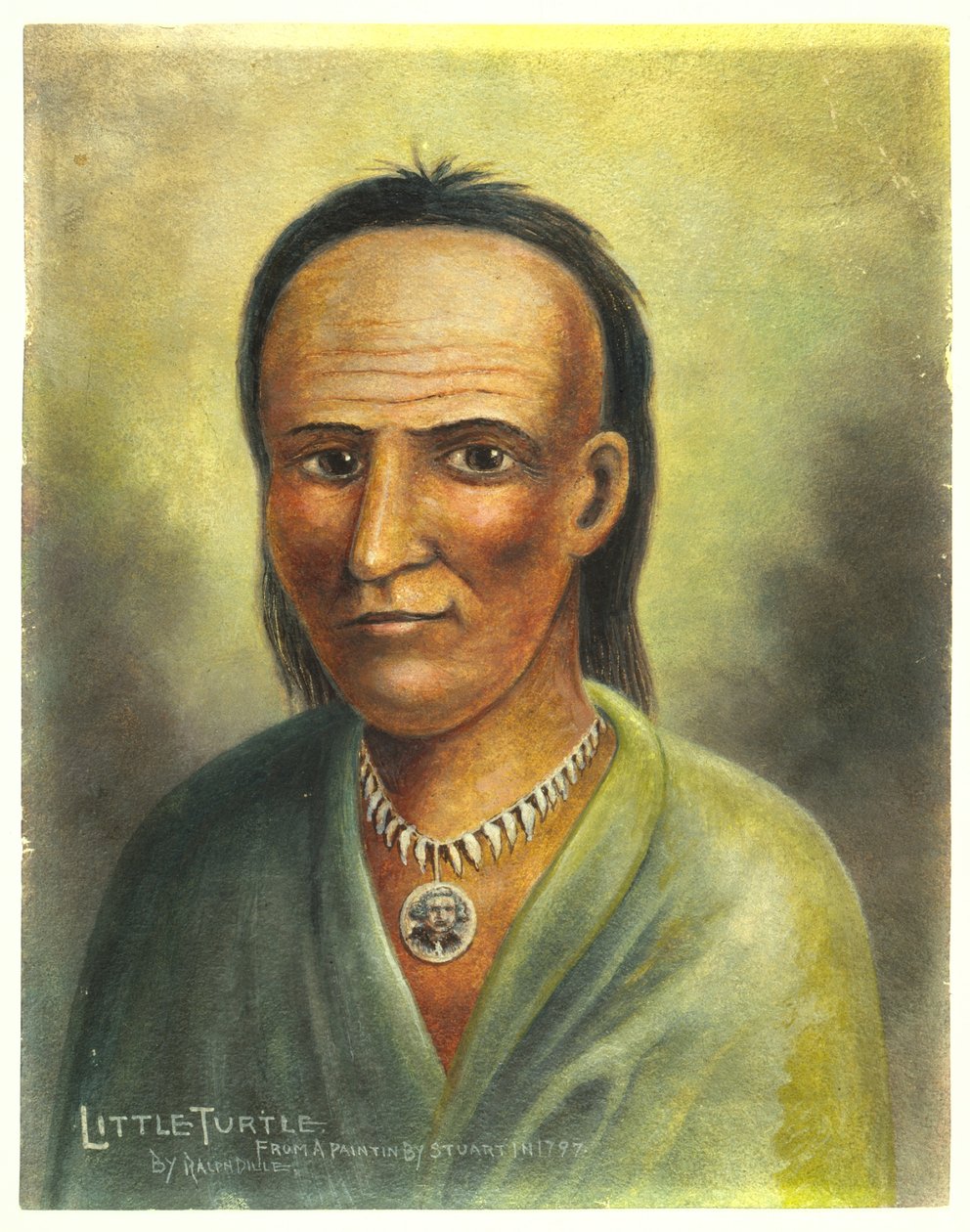 Pequena tartaruga de American School