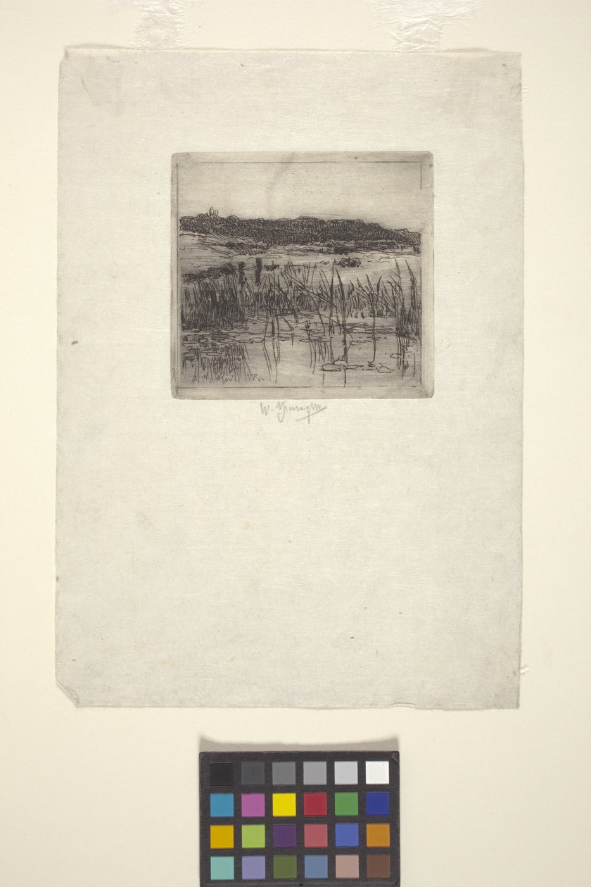 Pântano (gravura) de American School