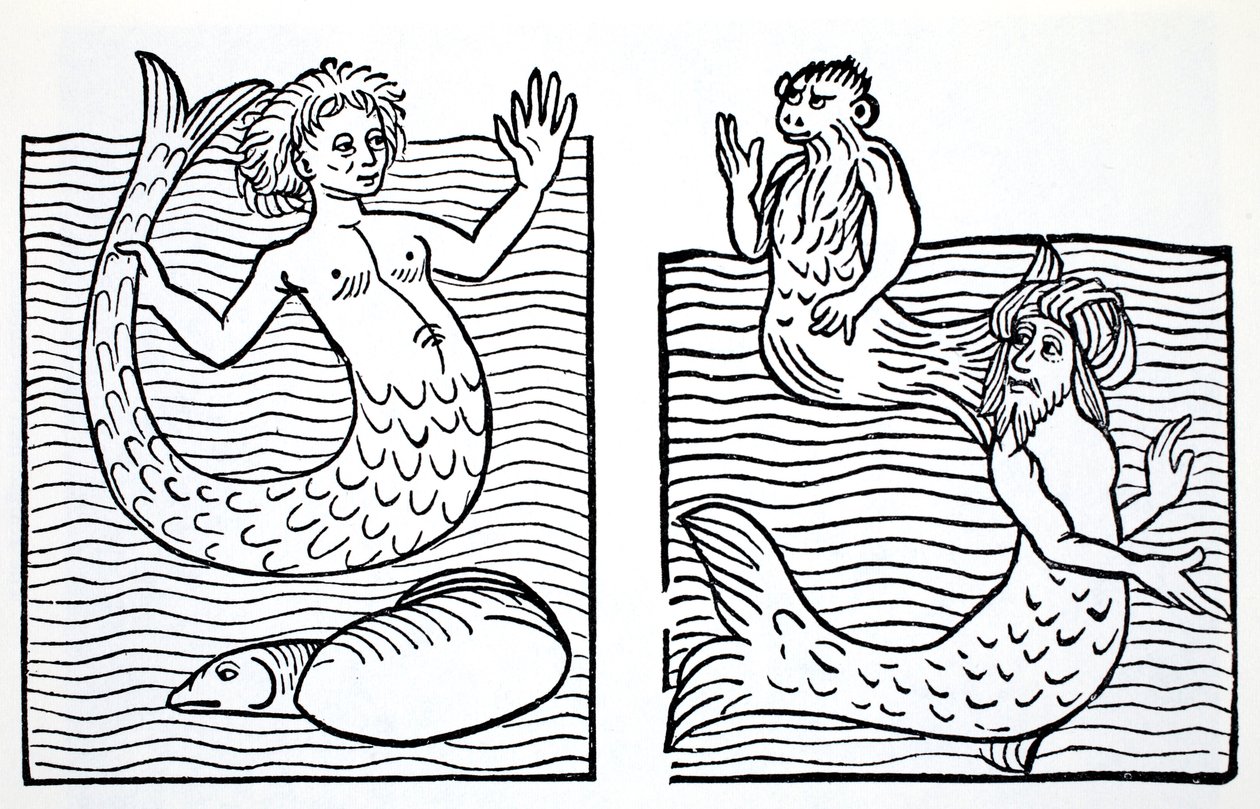 Sereias e Mermen, do Guia Mundial para Gnomos, Fadas, Elfos e outras pessoas pequenas por Thomas Keightley (1789-1872) Publicado em 1880, (BW Gravura) de American School