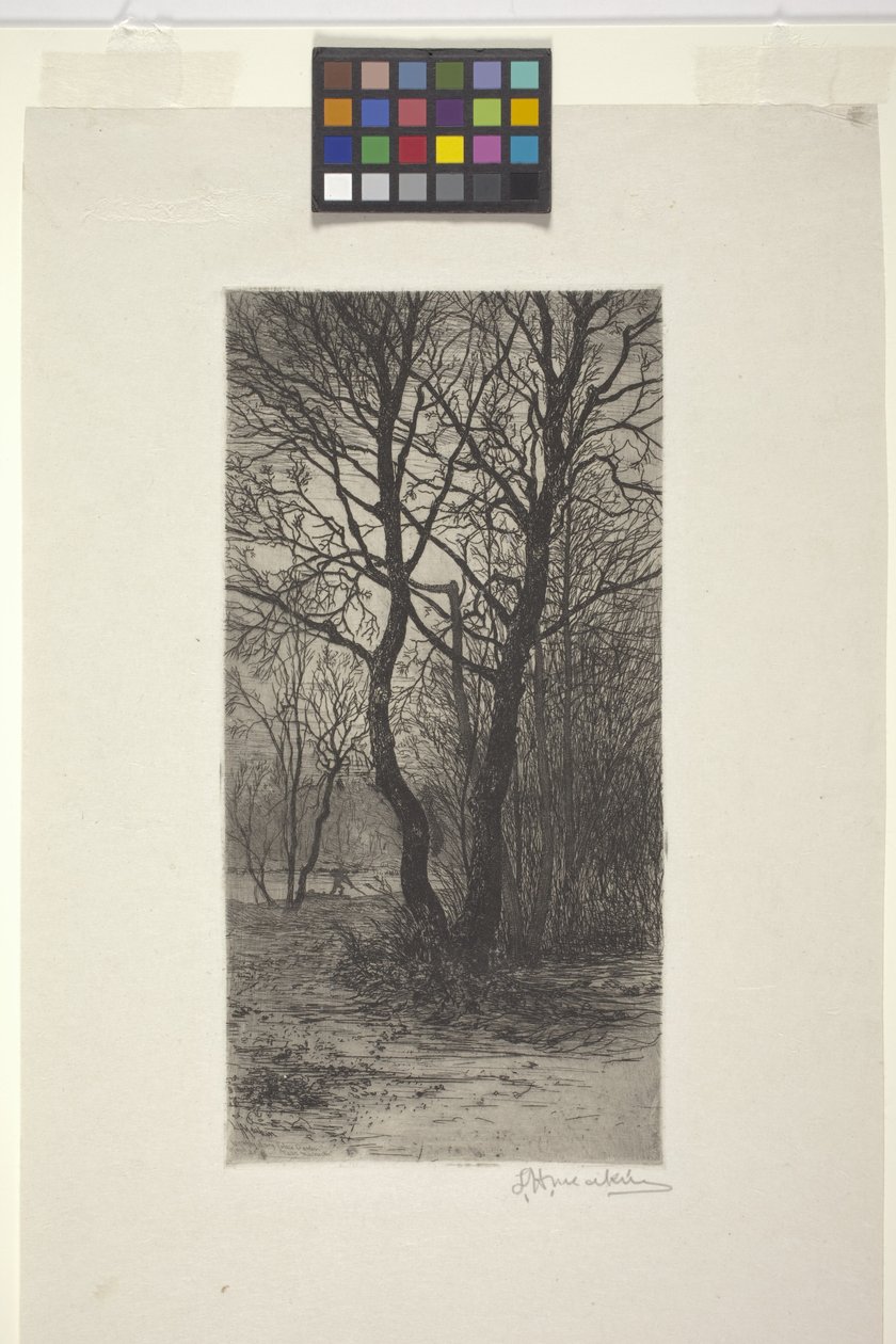 Jardim do Palácio de Nymphenburg, perto de Munique (gravura) de American School