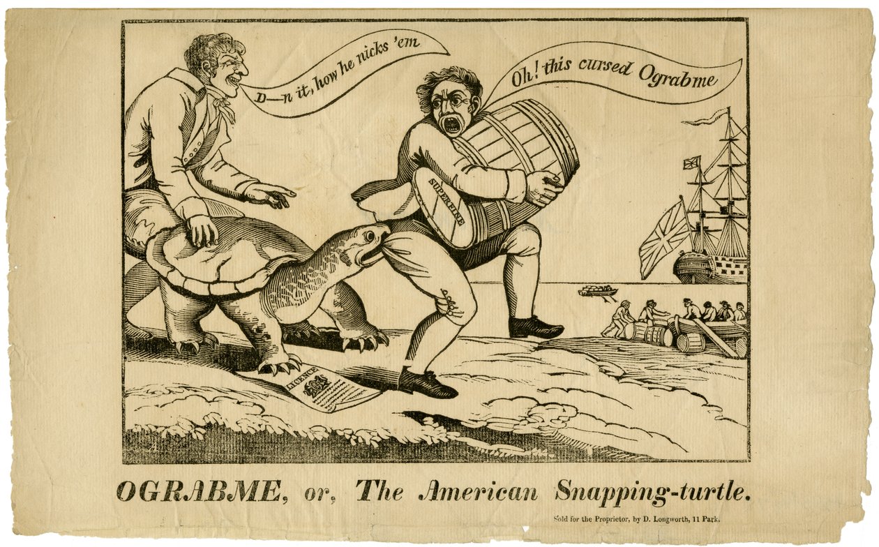 Ograbme, ou a tartaruga americana, 1808 de American School