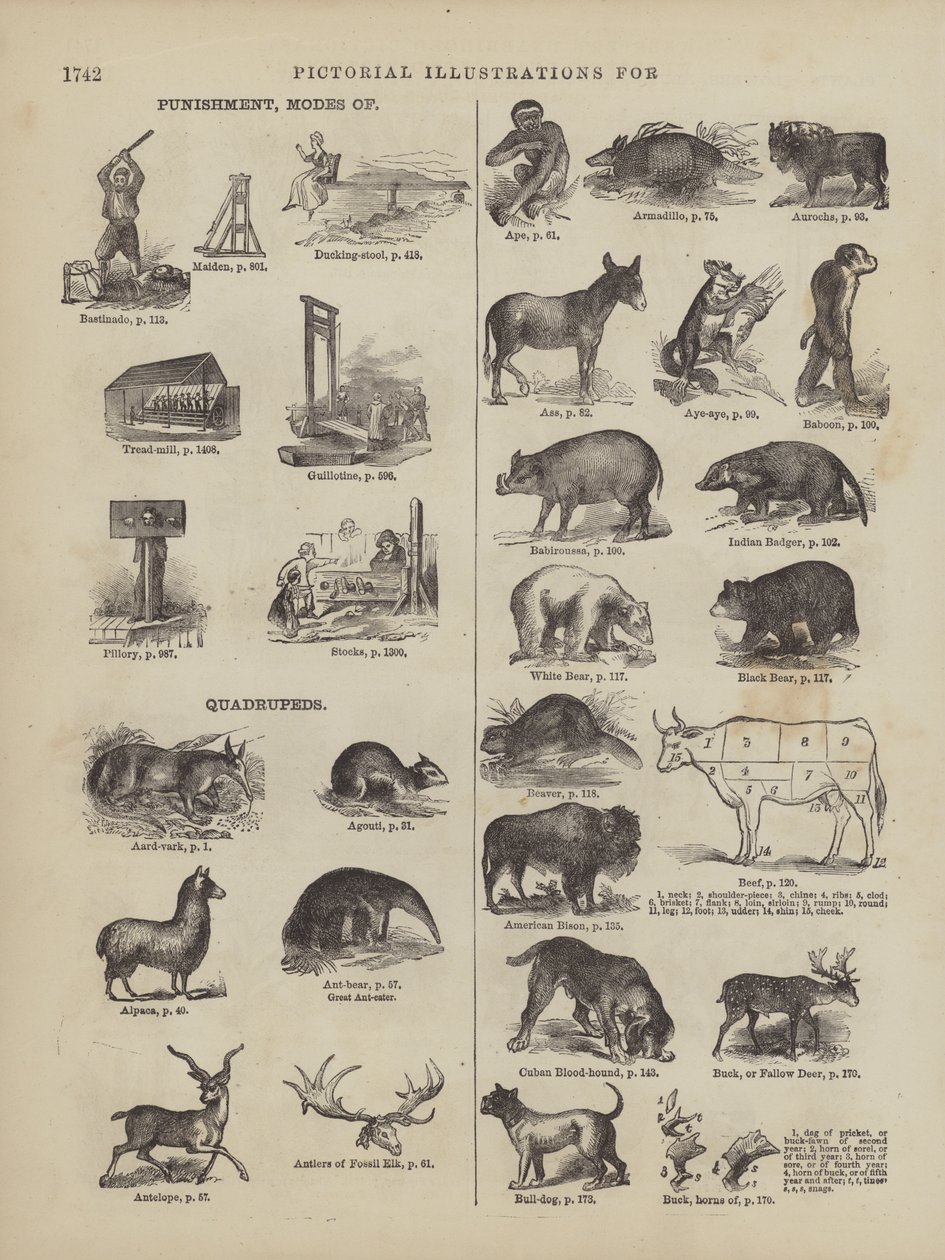 Página do Dicionário Completo de Webster (George Bell de American School