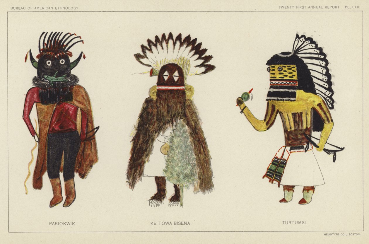 Pakiokwik, Ke Towa Bisena, Turtumsi (litografia a cores) de American School