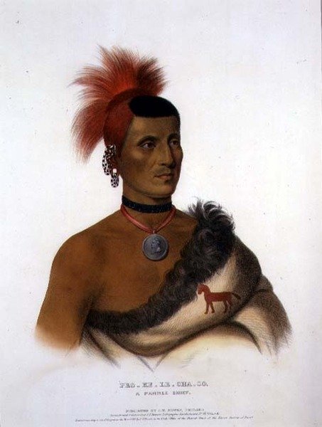 Pes-Ke-Le-Cha-Co, A Pawnee Chief, pub. de J. T. Bowen (1801-c.1856) 1841 (cor litho) de American School