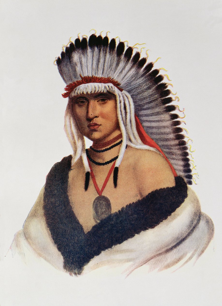 Petalesharro, um Pawnee Brave, ilustração "dos tribos indianos de America do Norte, Vol.1", por Thomas L. McKenney e por James Salão, bar. por John Grant (cor lito) de American School