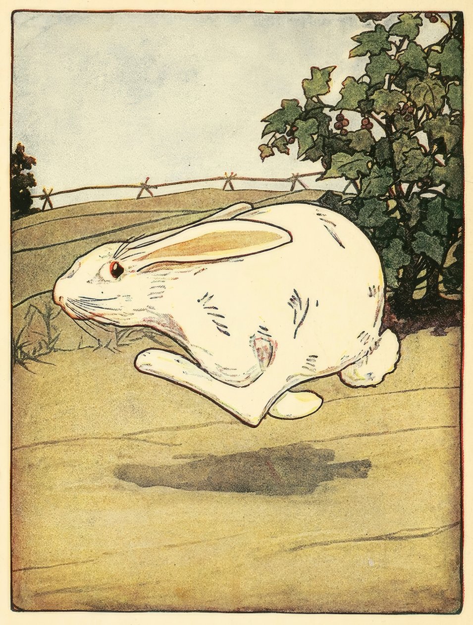 Peter nunca parou de correr, de The Tale of Peter Rabbit de American School