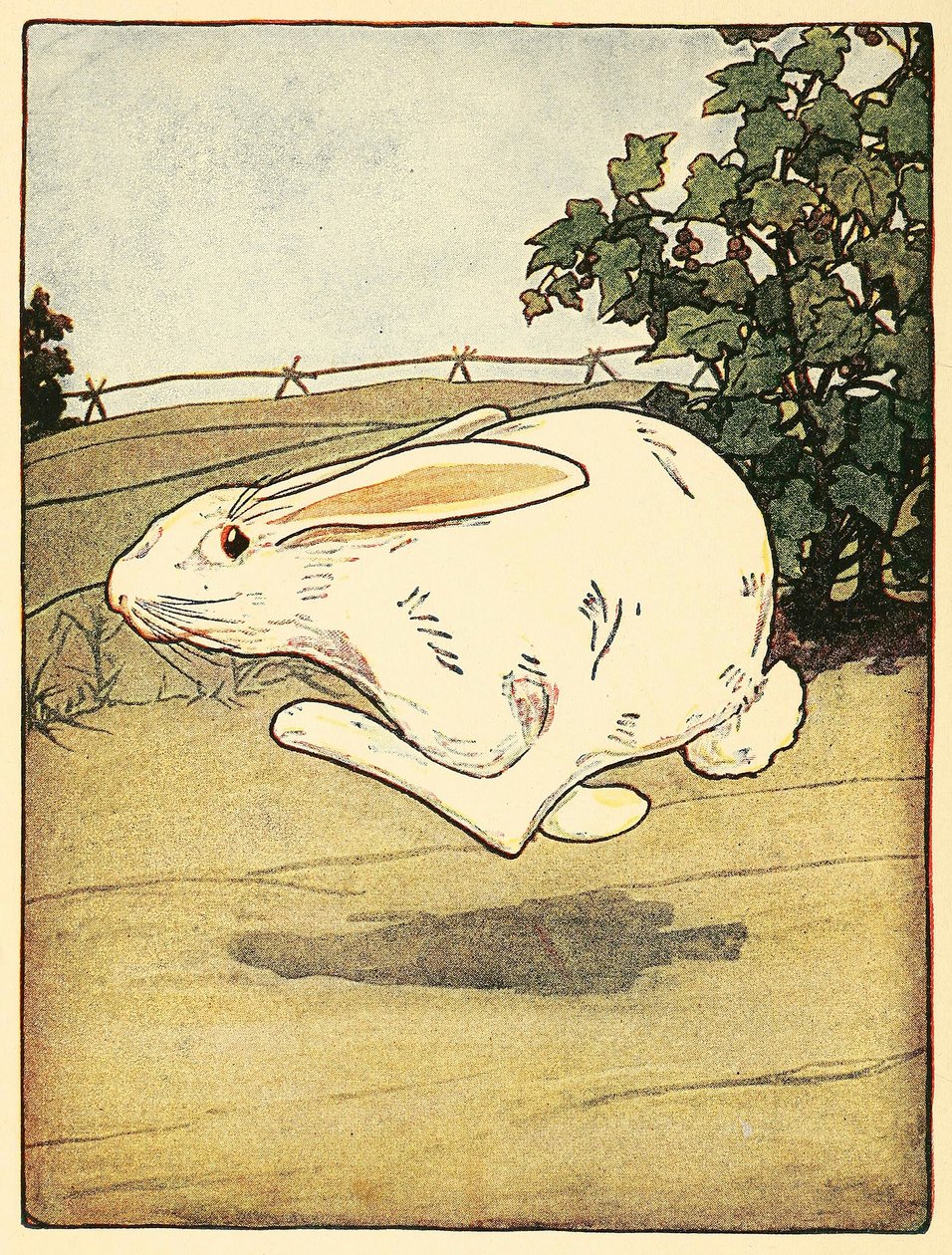 O Peter nunca deixou de fugir, do The Tale of Peter Rabbit, pub. Litografia a cores de 1916, 1916. de American School