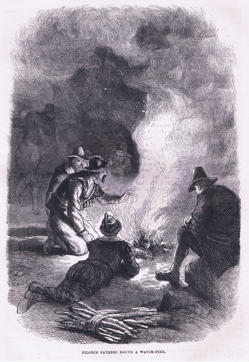 Pilgrim Father