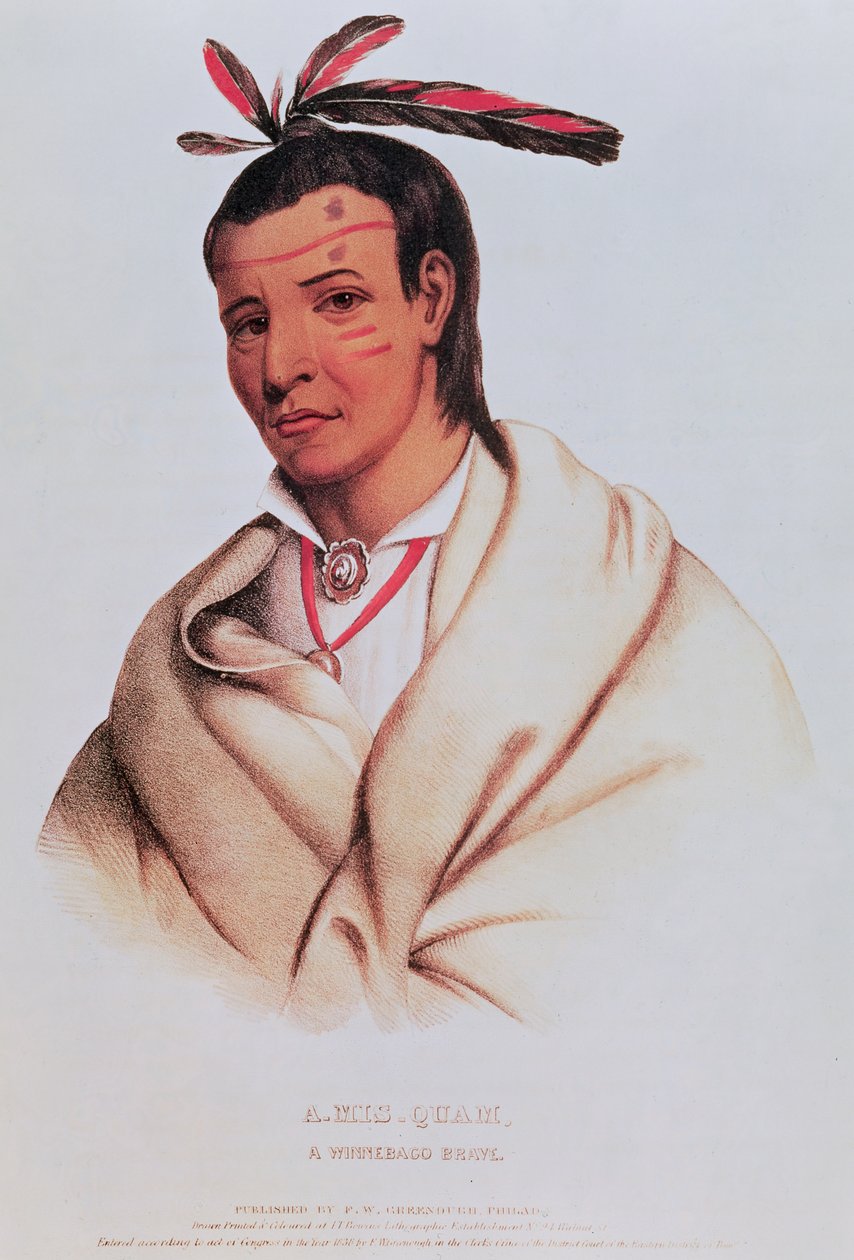 RETRATO DE UM-mis-how, o bravo Winnebago de American School