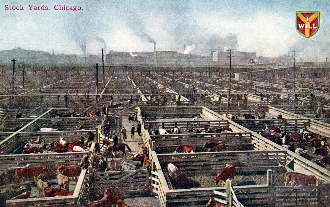 Postal representando os estaleiros e matadouros em Chicago, c.1910 (foto colorida) de American School