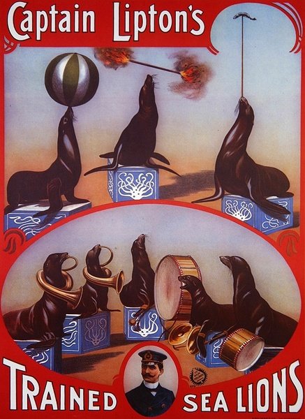 Cartaz publicitário 