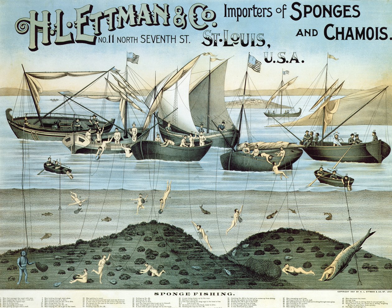 Cartaz publicitário HL Ettman & Co., importadores de esponjas e camurça, 1897 de American School