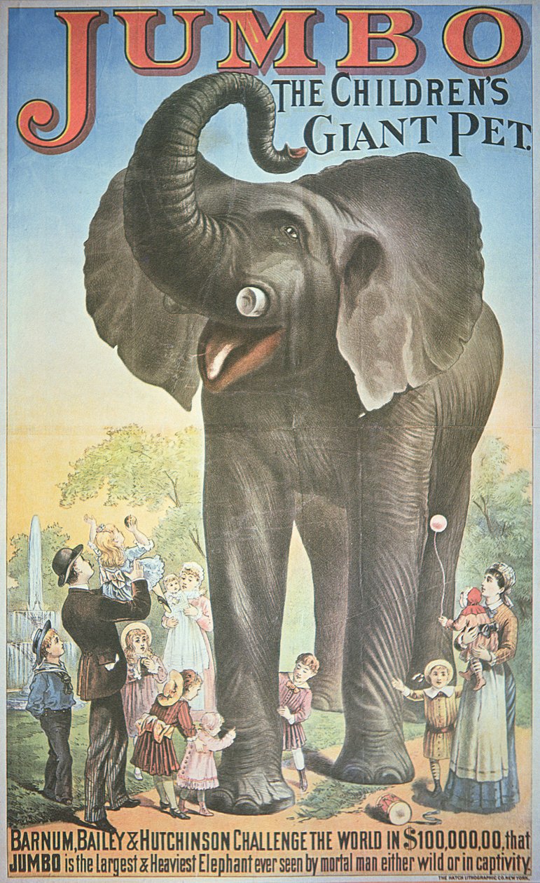 Cartaz publicitário 