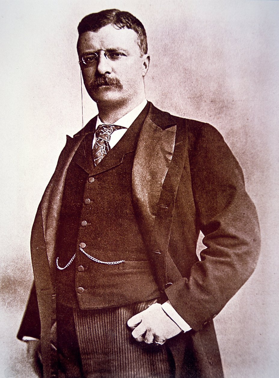 Presidente Theodore Roosevelt (litho) de American School
