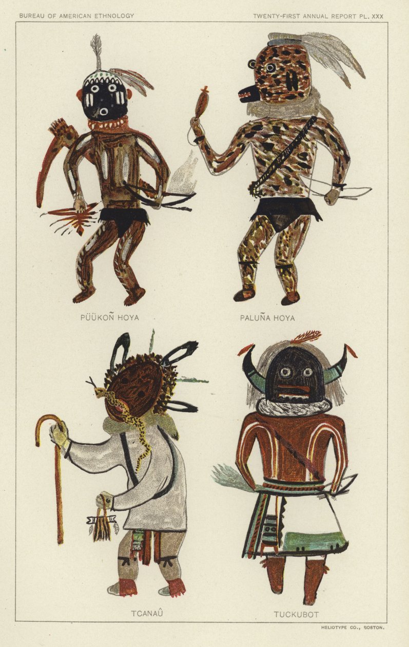 Puukon Hoya, Paluna Hoya, Tcanau, Tuckubot (litografia a cores) de American School