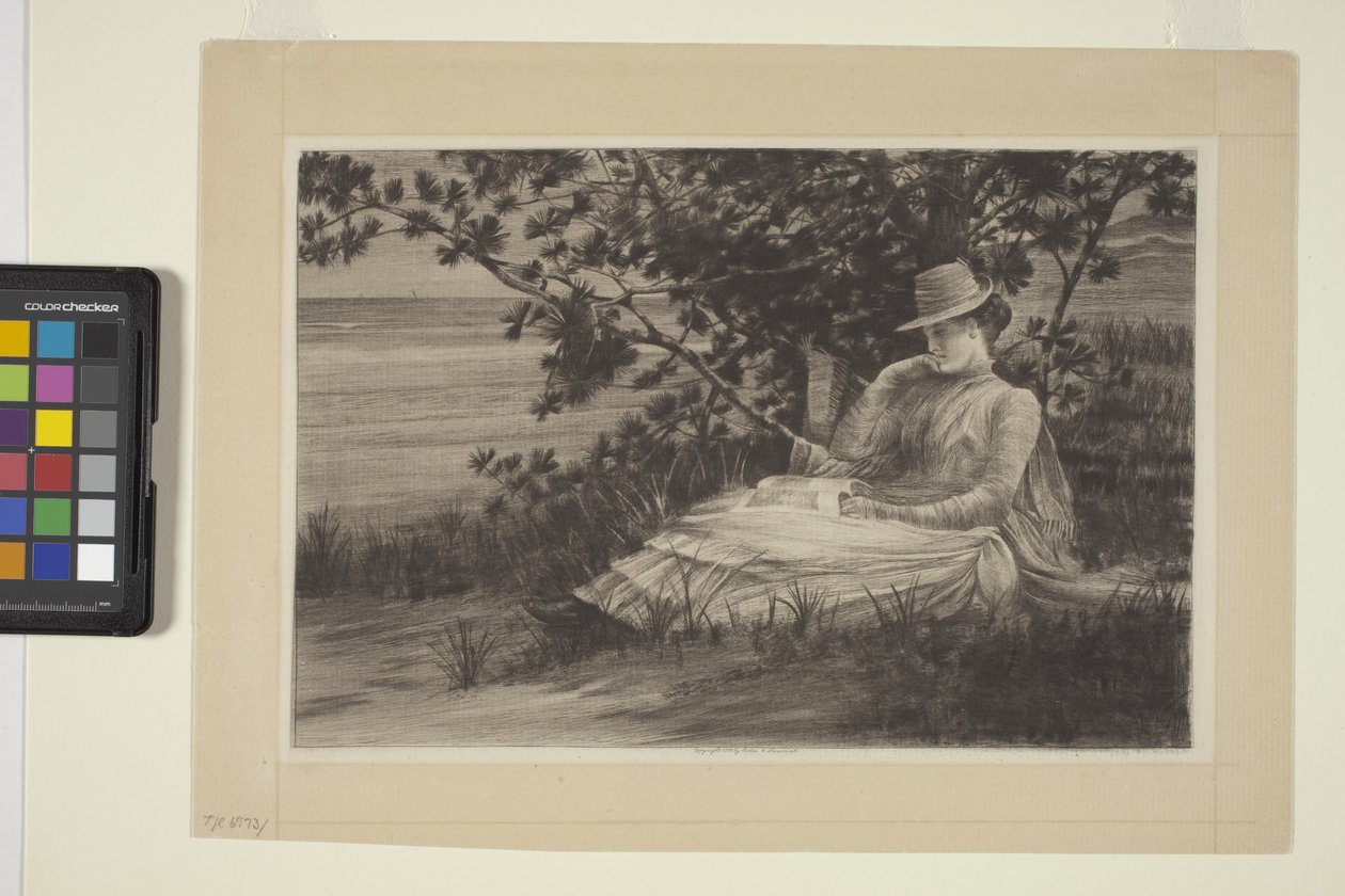 Reverie (tinta) de American School