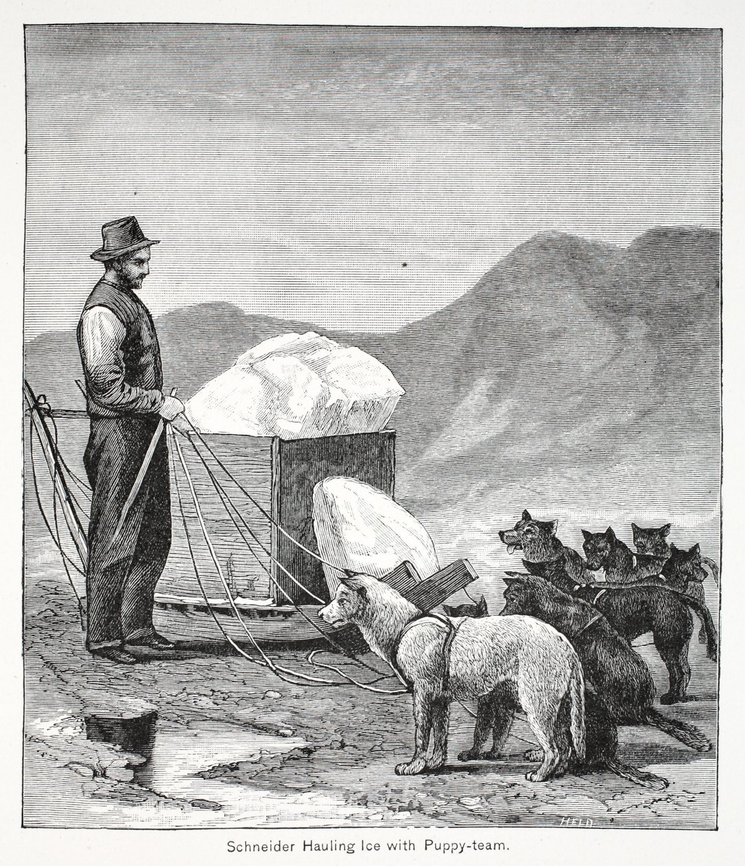 Schneider transportando gelo com o Puppy-team, pub. Londres 1886 de American School