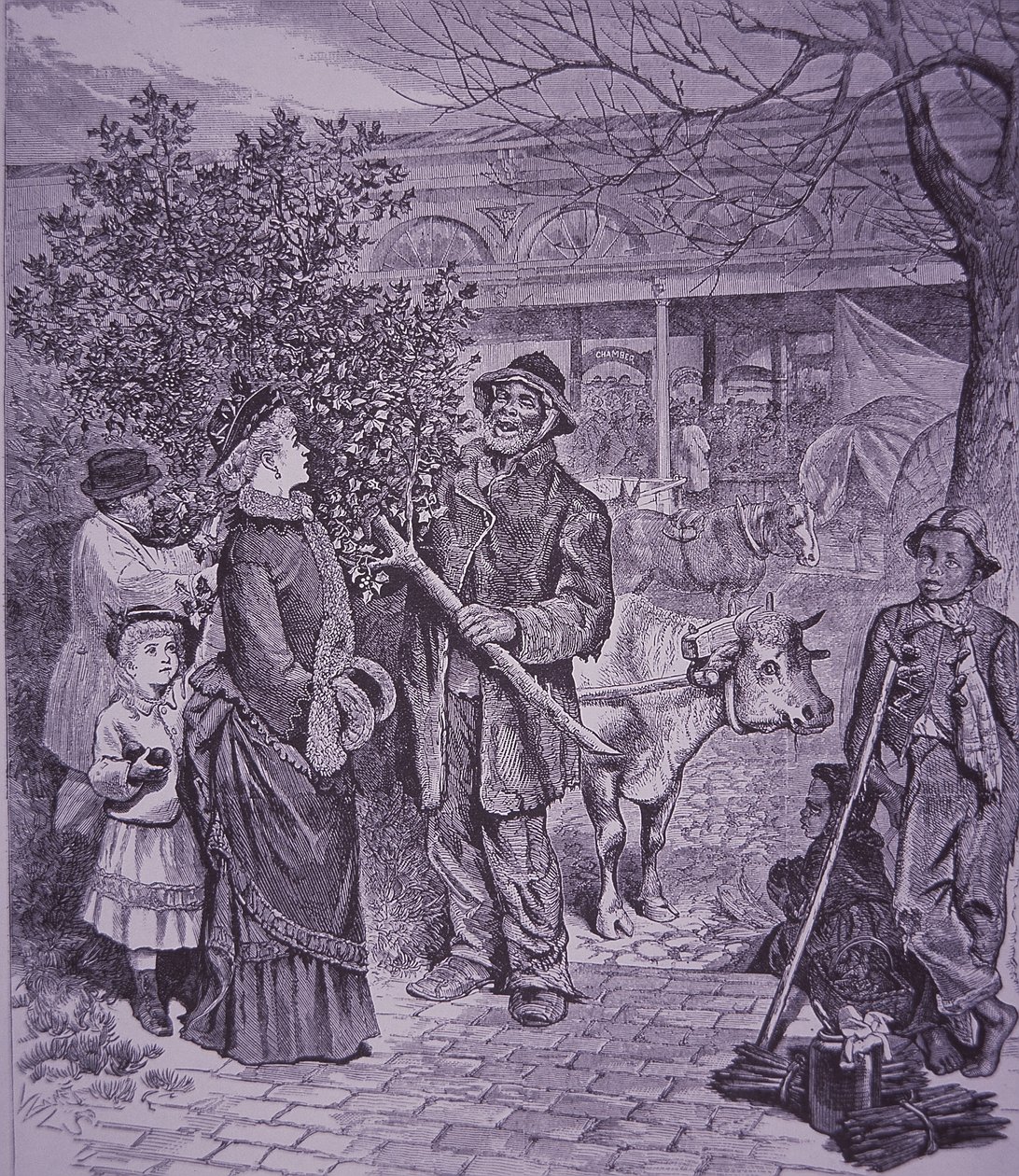 Vendendo árvores de Natal em Richmond, Virgínia de American School