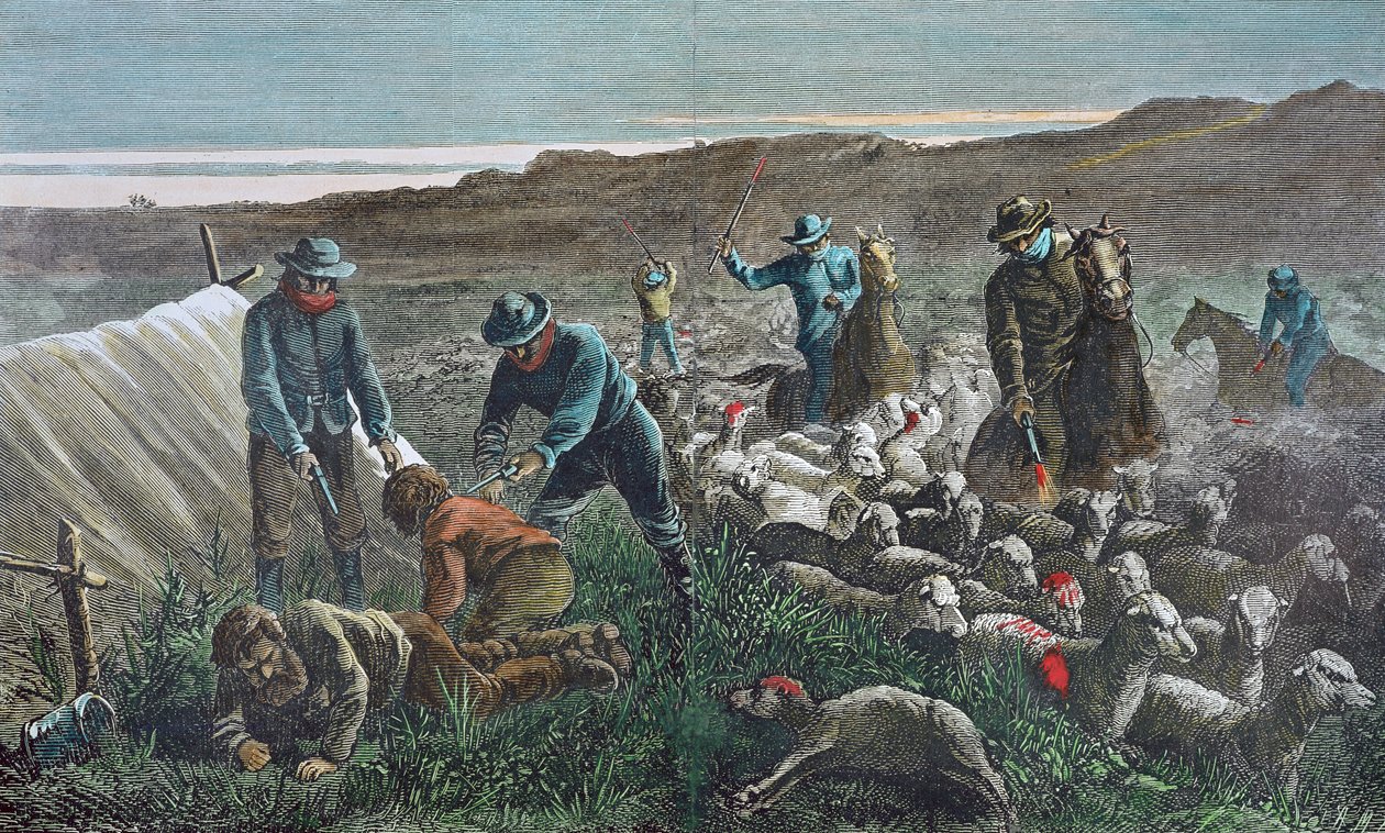 Abate de ovelhas durante a Guerra de Pleasant Valley Range, Arizona de American School