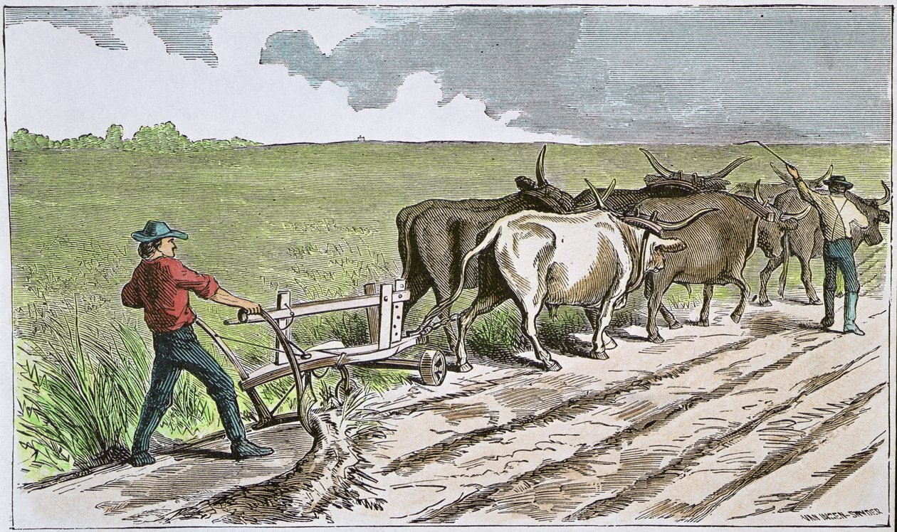 Sodbusters of the American West, c.1880 (gravura colorida) de American School