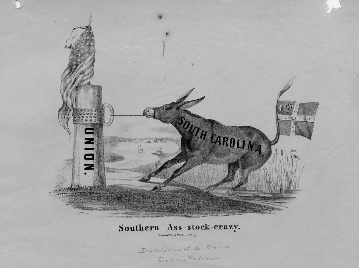 Bunda-estoque-louco do sul, publicado por John T. Ruoff, Nova York, c.1861 de American School