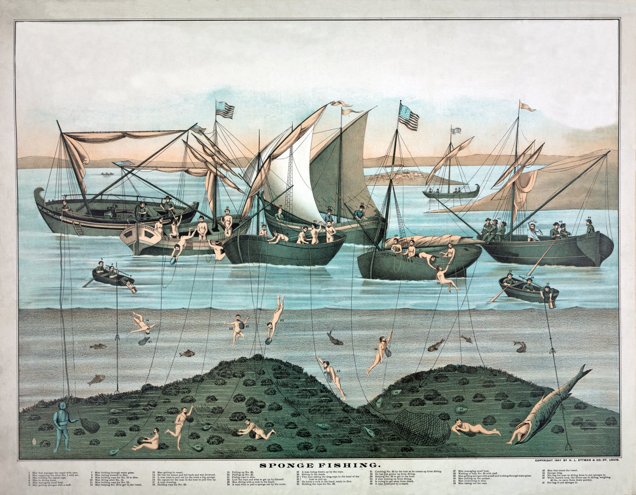 Sponge Fishing, pub. 1897 (litografia a cores) de American School