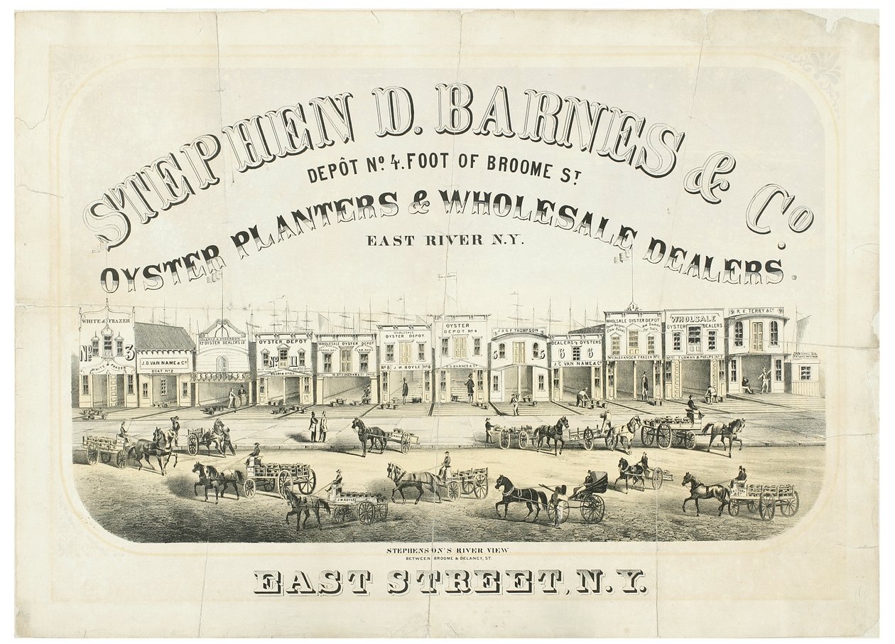 Stephen D. Barnes & Co. Ostras plantadeiras e atacadistas, depósito não. 4 pés da rua Broome de American School