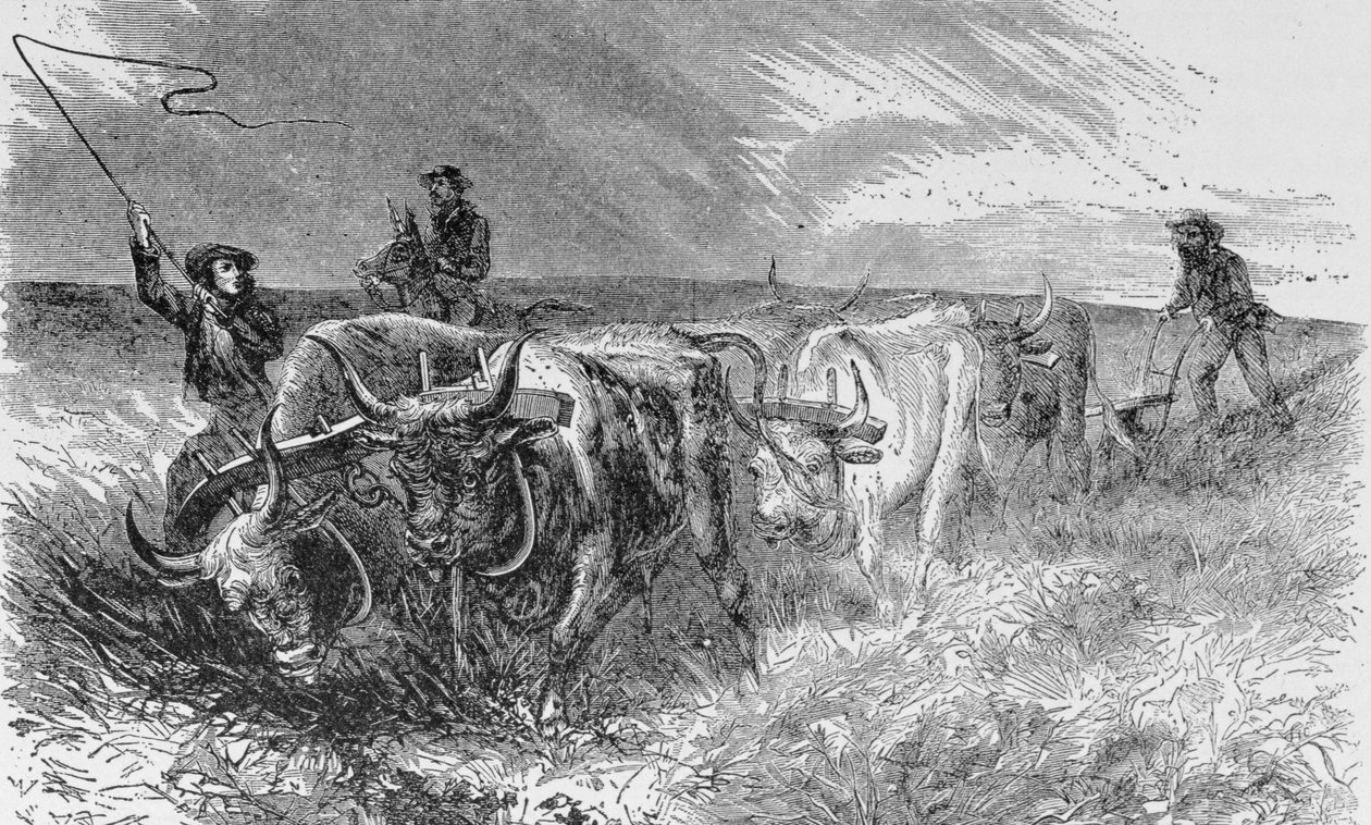 O Prairie Sod Plough, ilustração de &39;Harper&39;s Weekly&39;, 1868, de &39;The Pageant of America, Vol.3&39;, por Ralph Henry Gabriel, 1926 de American School