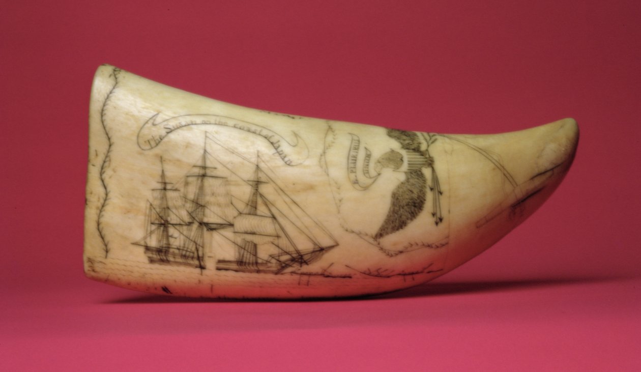 A Susan na costa do Japão Scrimshaw (dente) de American School