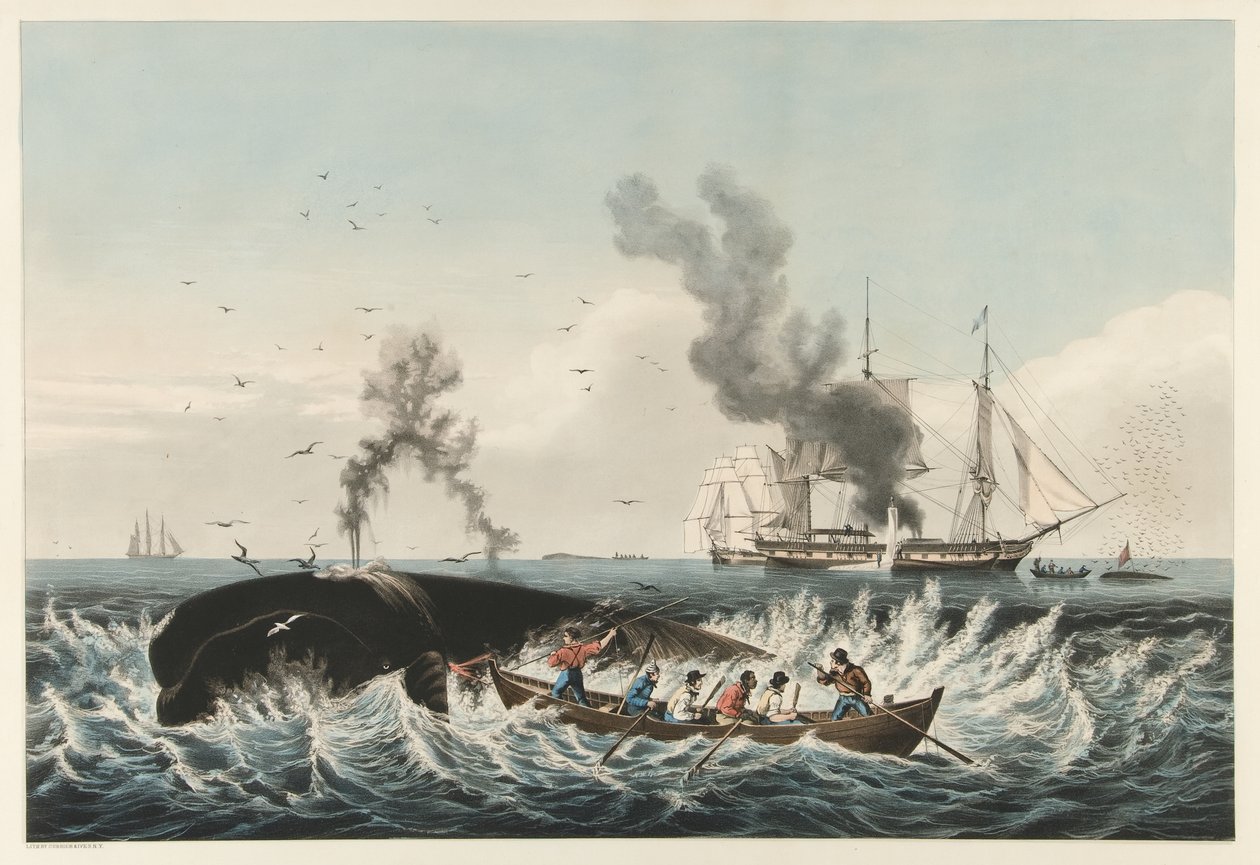 The Whale Fishery - Attacking a 