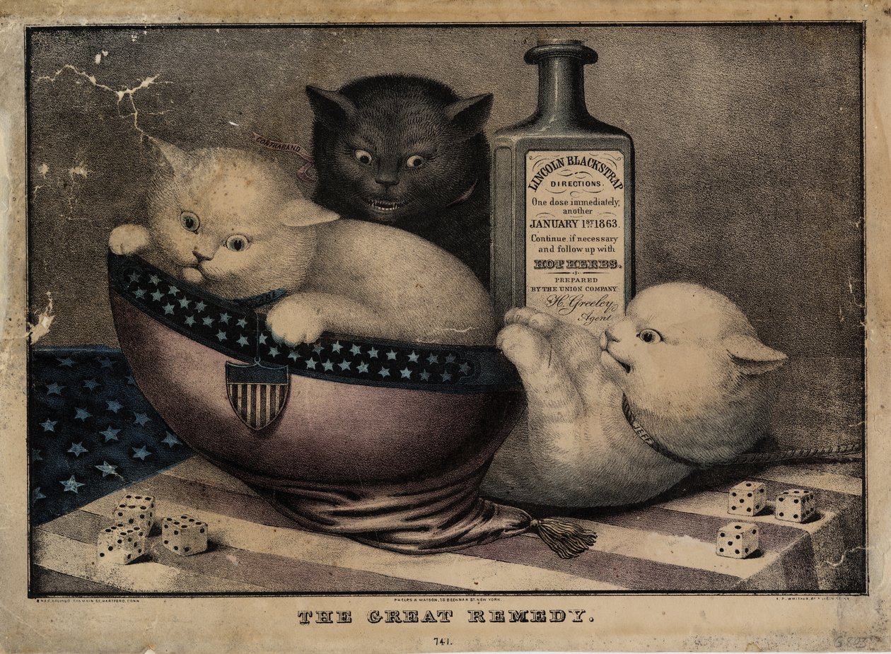 O grande remédio, publicado por EB e EC Kellogg, Hartford Ct. E Phelps e Watson, Nova York, e FP Whiting, Nova York, c. 1863 de American School