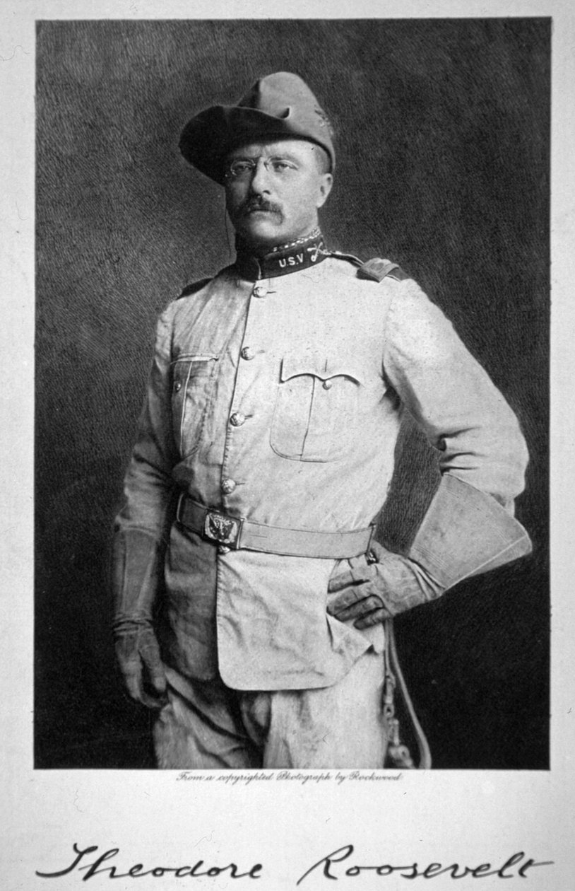 Theodore Roosevelt de American School