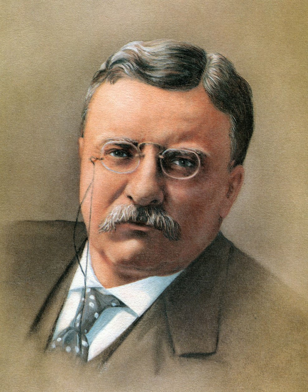 Theodore Roosevelt de American School