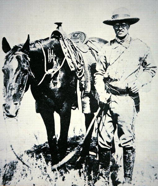 Theodore Roosevelt com seu cavalo, c.1885 (lito) de American School